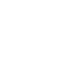 sentientnomad